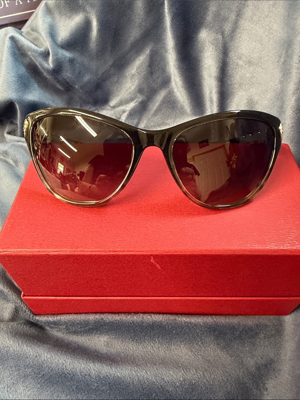 Brighton Black Oversized Cat-Eye Women's Sunglasses